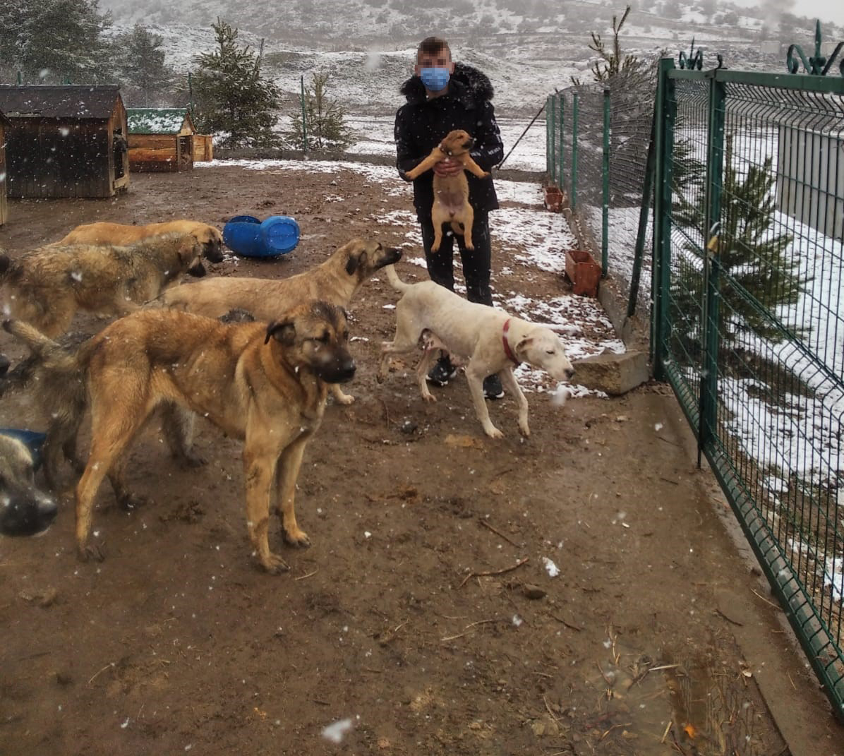 BARINAI VE CAN DOSTLARI SAHPLENYORLAR