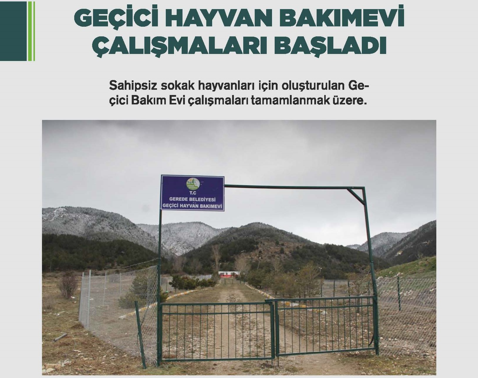 GEC HAYVAN BAKIM EV ALIMALARI BALADI